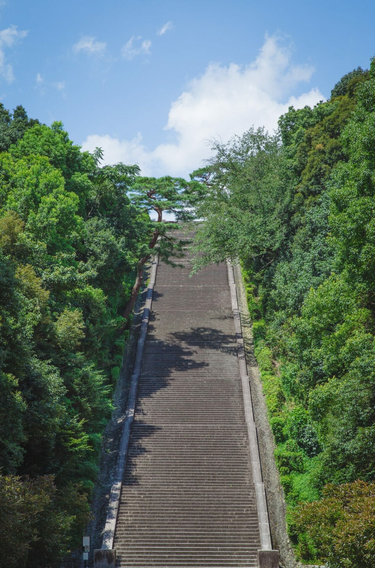 Long set of outdoor steps, flanked on each side by mature dense greenery