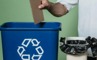 MyWaste Guide to Managing Business Waste