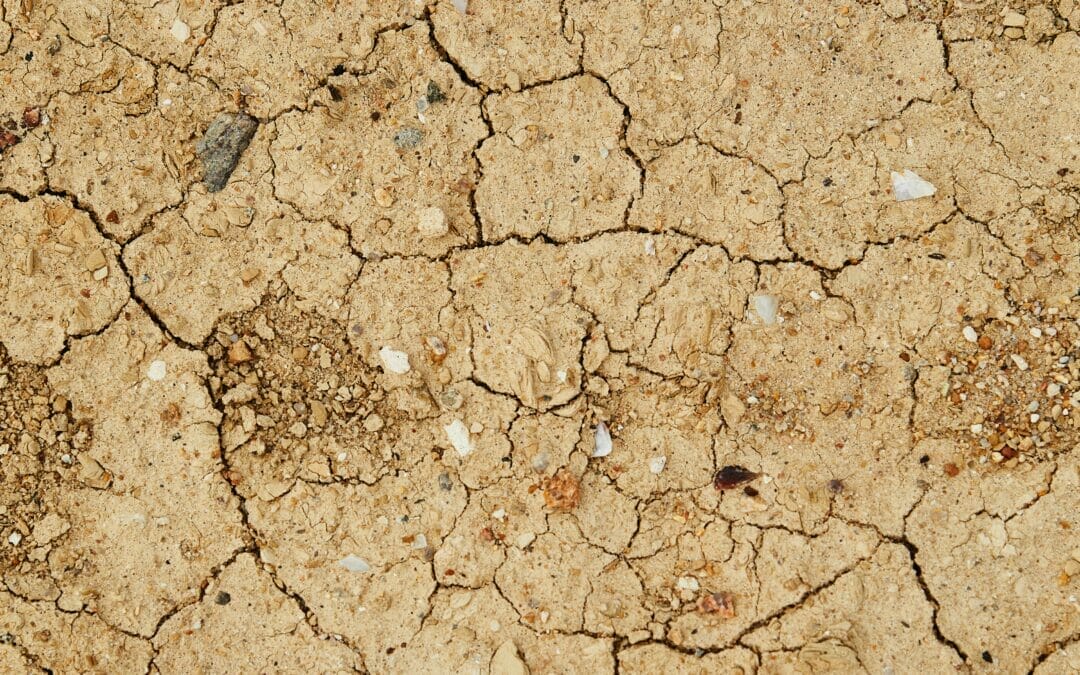 Water: a Human and Business Priority