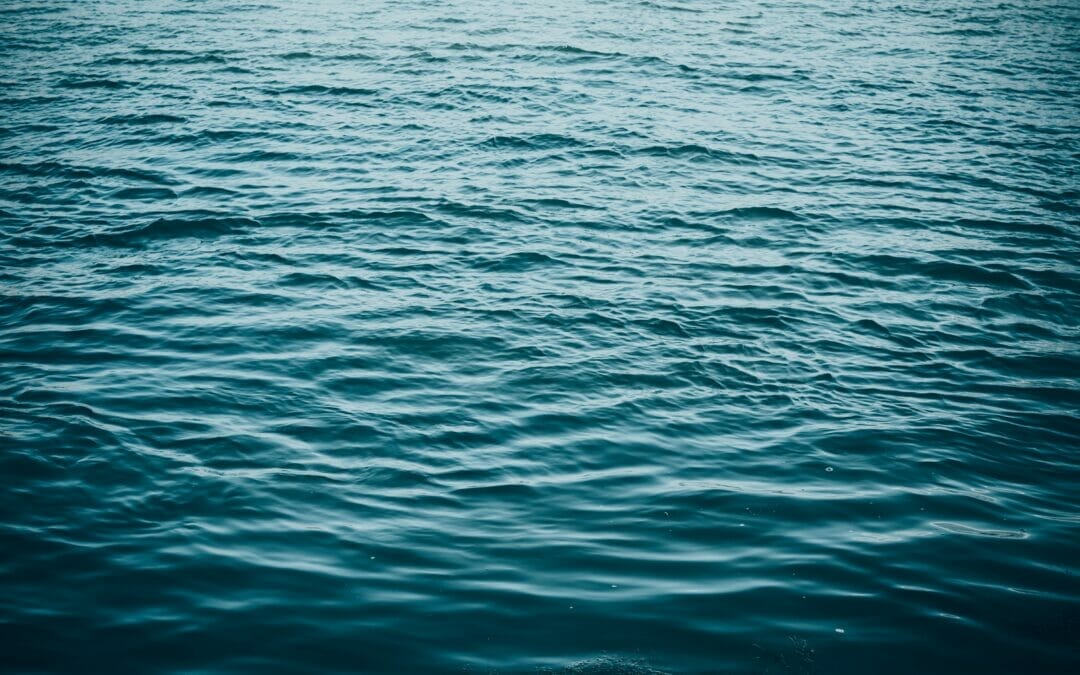 Alliance for Water Stewardship