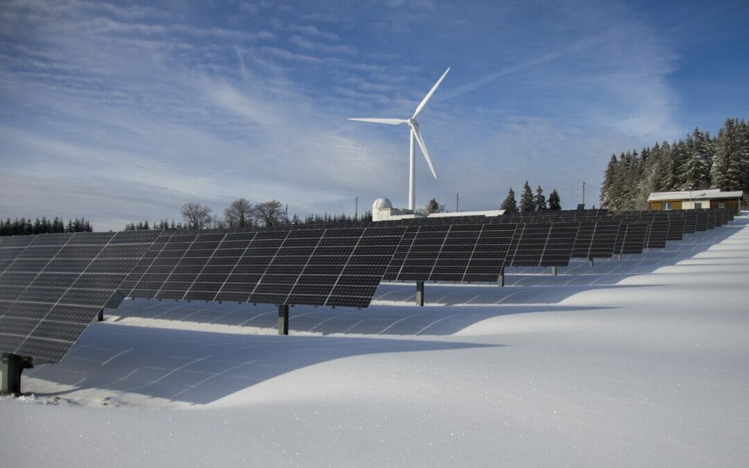 Carbon Neutral vs Net Zero: What’s the difference and why it matters