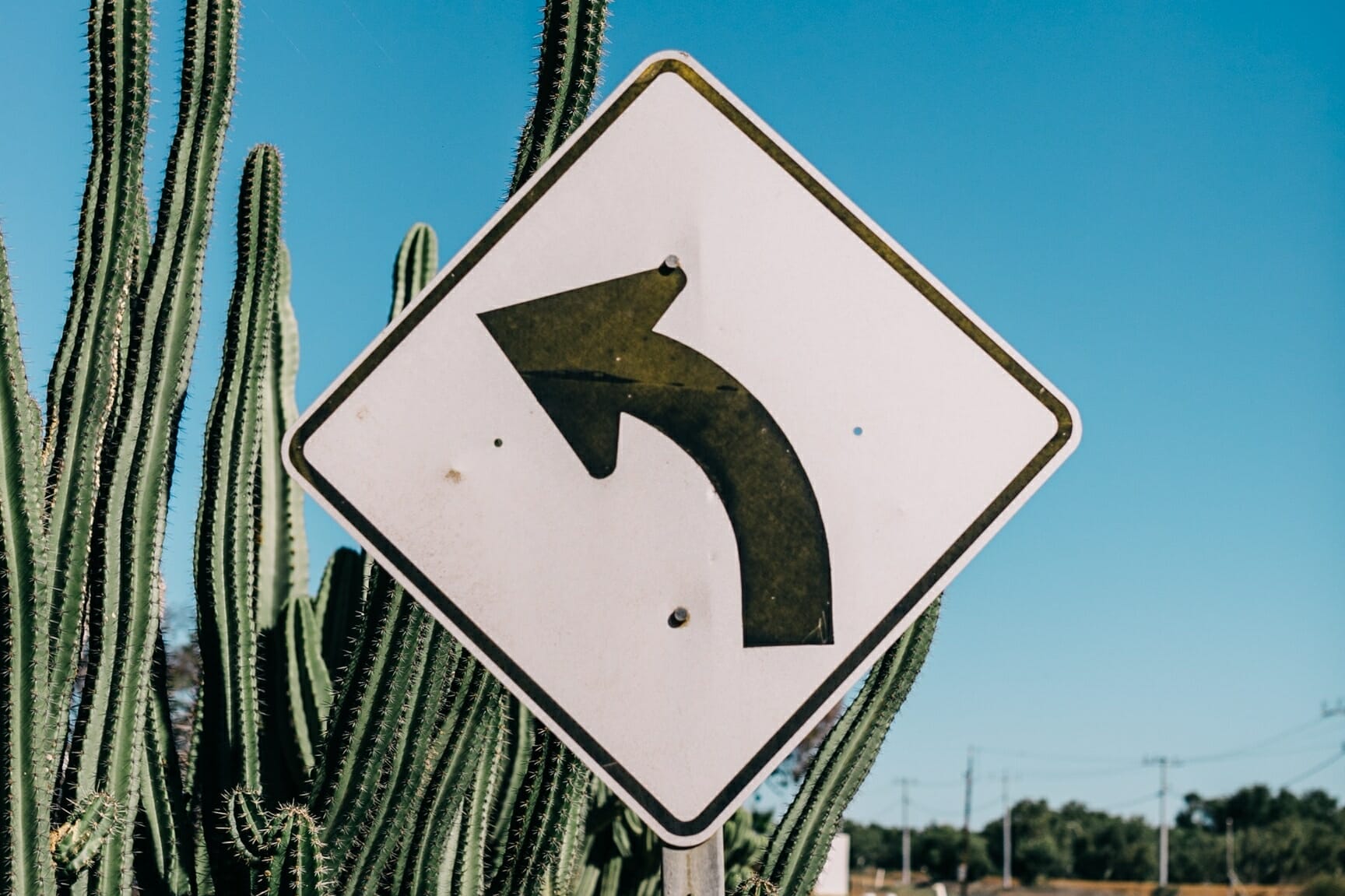 Road sign with cactus behind. Sign points to the left