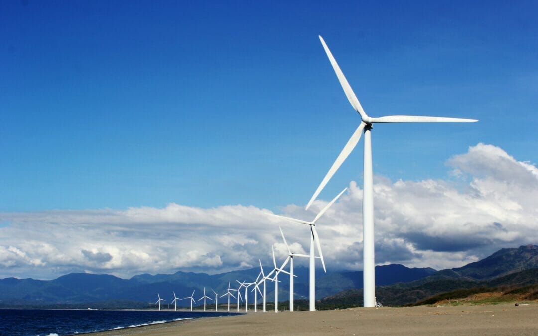 Use this tool to switch to renewable energy