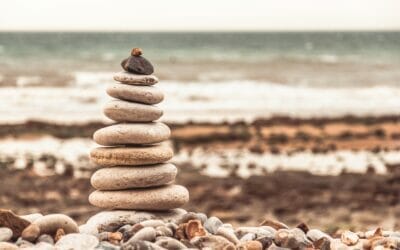 The New Waste Hierarchy for Europe