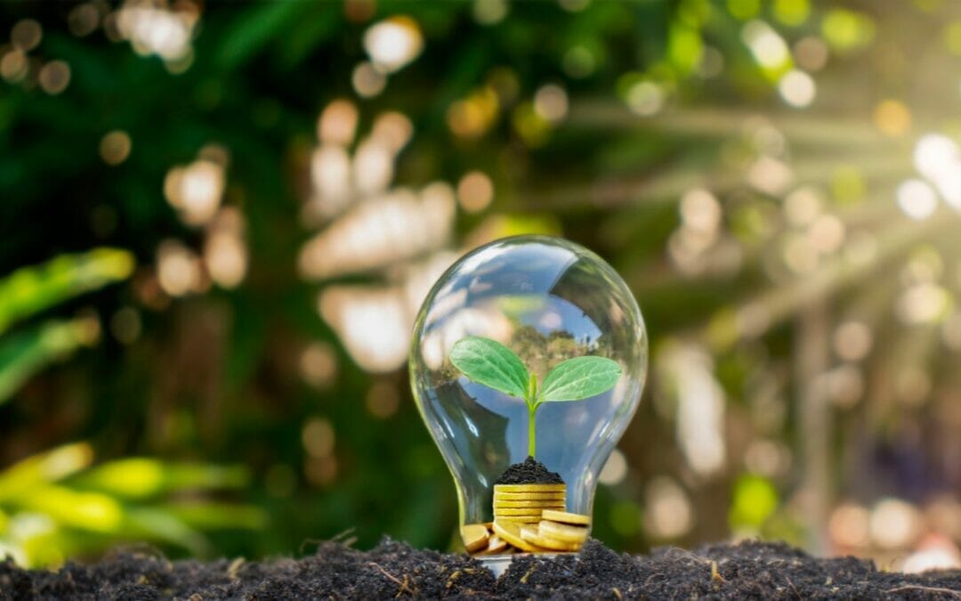 Five ways to save money on your energy costs