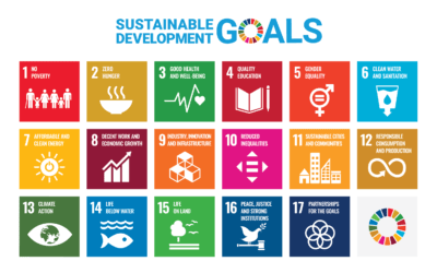 SDG’s- The Green Zebra Resources